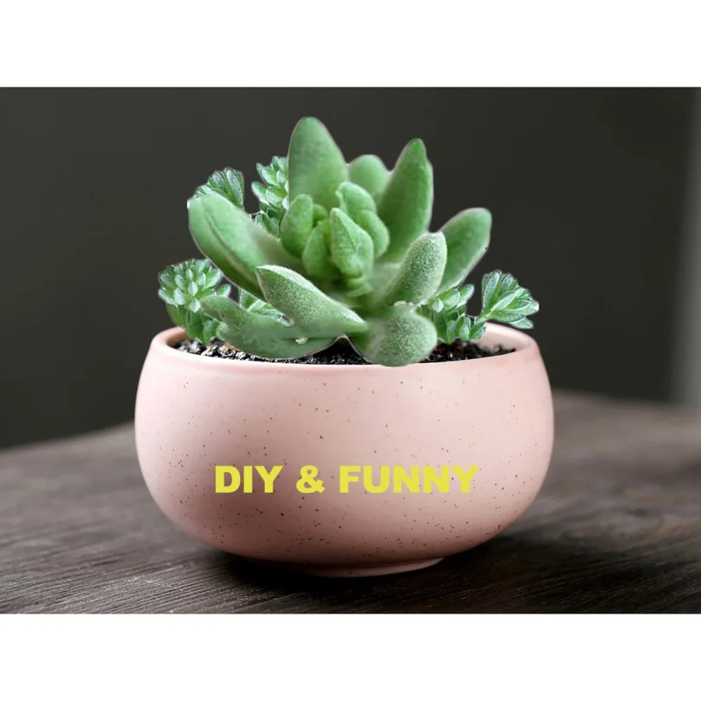 Artificial Succulents Fake Faux Flowers Mini Home Office Decor