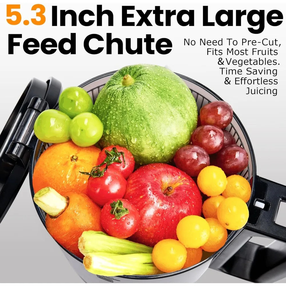 Large Feed Chute for Most Fruits and Vegetables,Easy to Clean Lemon with 250W, Manual Juicers